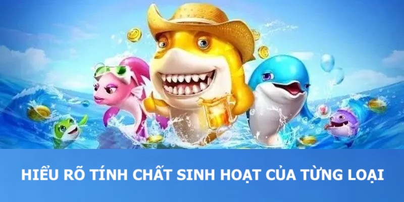 Khách hàng cần phải hiểu rõ tính chất sinh hoạt để dễ dàng tiêu diệt cá